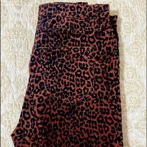Like New, Loft animal print corduroy skinny pant